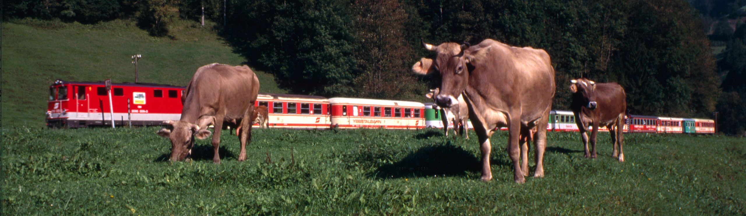 PRO YBBSTALBAHN